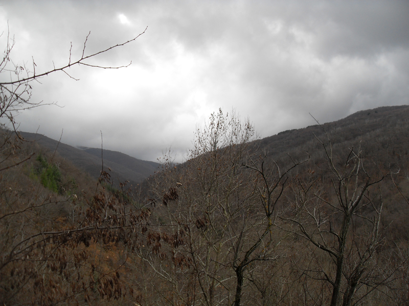 Натиснете снимката за да я уголемите

Име:SDC12737.JPG
Прегледи:1
Размер:347.2 КБ
ID:5445505