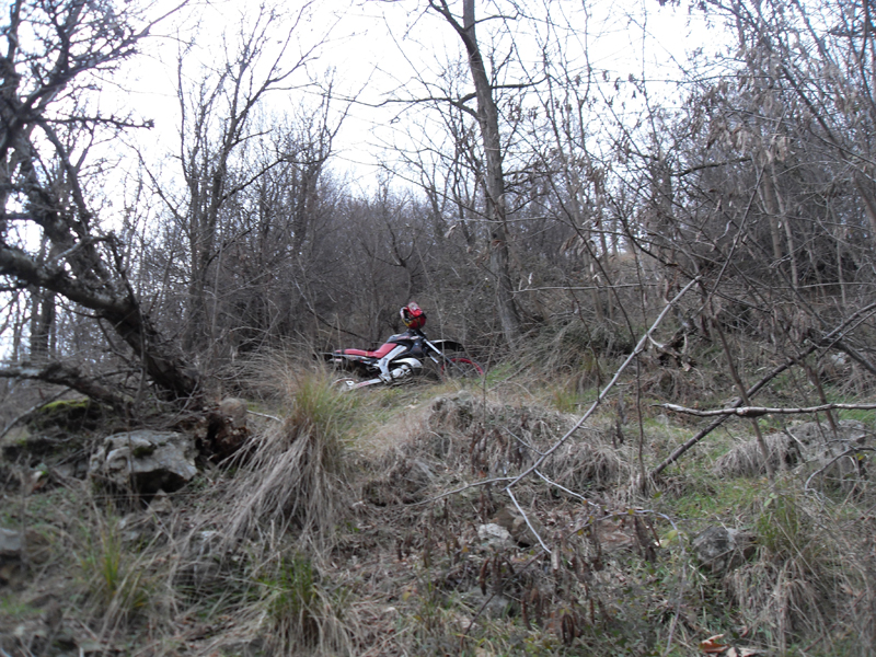 Натиснете снимката за да я уголемите

Име:SDC12738.JPG
Прегледи:1
Размер:564.3 КБ
ID:5445506