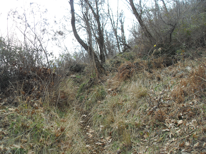 Натиснете снимката за да я уголемите

Име:SDC12739.JPG
Прегледи:1
Размер:640.3 КБ
ID:5445507