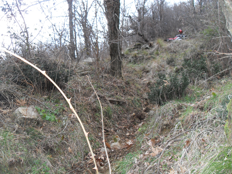 Натиснете снимката за да я уголемите

Име:SDC12740.JPG
Прегледи:1
Размер:613.5 КБ
ID:5445508