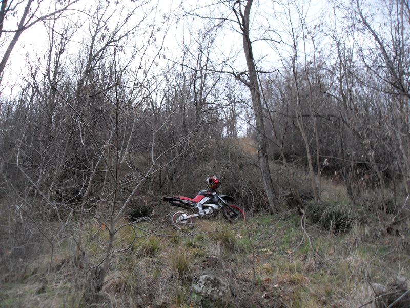 Натиснете снимката за да я уголемите

Име:SDC12741.JPG
Прегледи:1
Размер:556.5 КБ
ID:5445509