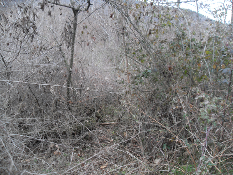 Натиснете снимката за да я уголемите

Име:SDC12744.JPG
Прегледи:1
Размер:541.5 КБ
ID:5445511