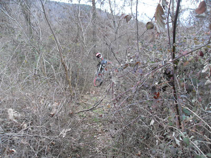 Натиснете снимката за да я уголемите

Име:SDC12745.JPG
Прегледи:1
Размер:620.0 КБ
ID:5445512