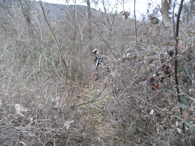 Натиснете снимката за да я уголемите

Име:SDC12746.JPG
Прегледи:1
Размер:546.4 КБ
ID:5445513