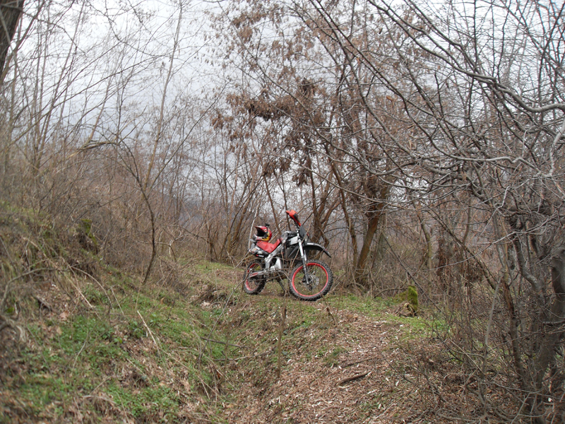 Натиснете снимката за да я уголемите

Име:SDC12747.JPG
Прегледи:1
Размер:641.3 КБ
ID:5445514