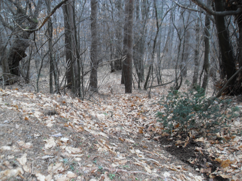 Натиснете снимката за да я уголемите

Име:SDC12749.JPG
Прегледи:1
Размер:511.2 КБ
ID:5445527