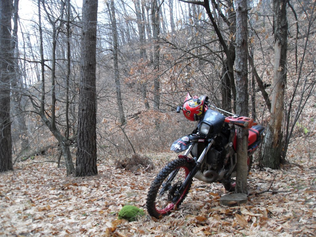 Натиснете снимката за да я уголемите

Име:SDC12750.jpg
Прегледи:1
Размер:272.7 КБ
ID:5445528