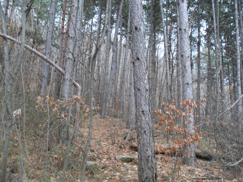 Натиснете снимката за да я уголемите

Име:SDC12751.JPG
Прегледи:1
Размер:556.6 КБ
ID:5445529