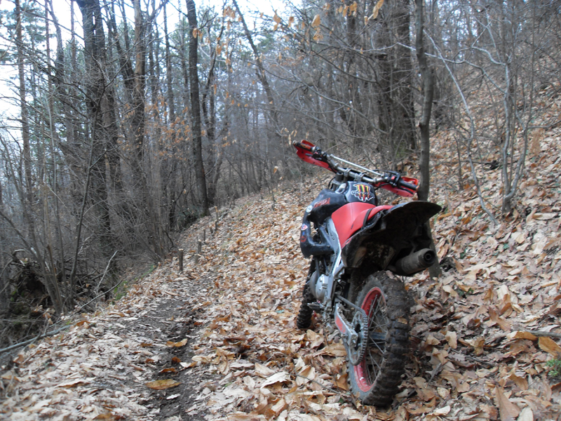 Натиснете снимката за да я уголемите

Име:SDC12752.JPG
Прегледи:1
Размер:611.5 КБ
ID:5445530