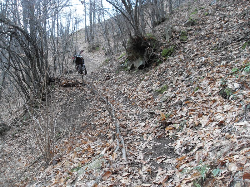 Натиснете снимката за да я уголемите

Име:SDC12753.JPG
Прегледи:1
Размер:682.1 КБ
ID:5445531