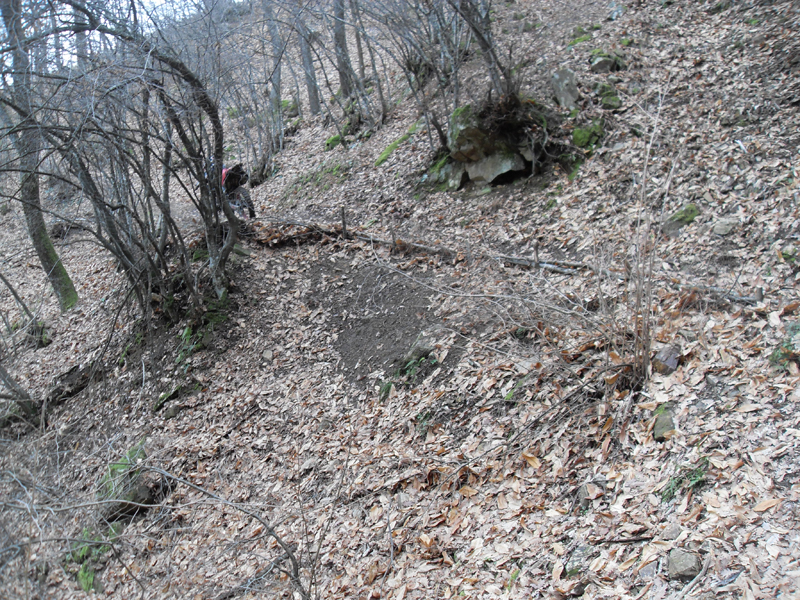 Натиснете снимката за да я уголемите

Име:SDC12754.JPG
Прегледи:1
Размер:664.6 КБ
ID:5445532