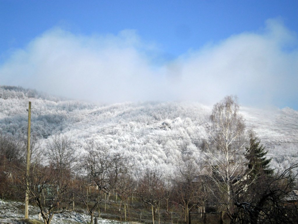 Натиснете снимката за да я уголемите

Име:SAM_3378.jpg
Прегледи:1
Размер:148.9 КБ
ID:5448042