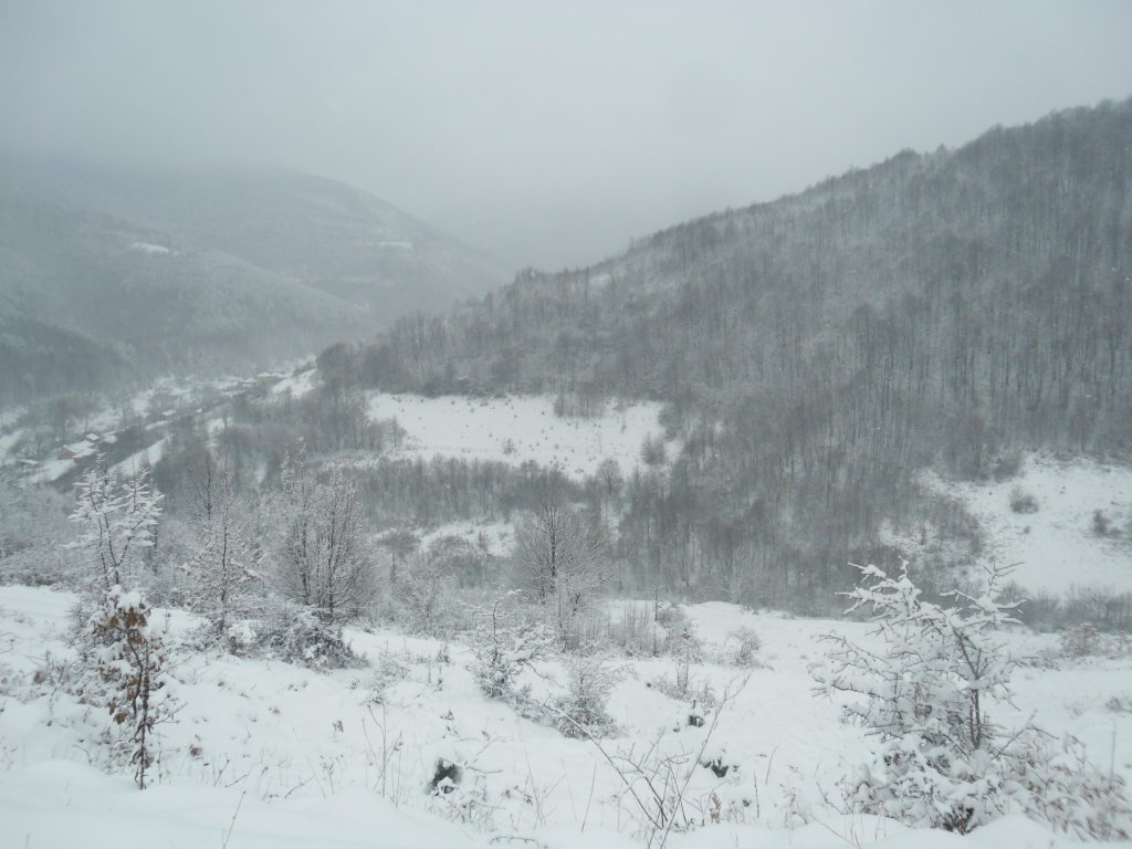 Натиснете снимката за да я уголемите

Име:SAM_3425.jpg
Прегледи:1
Размер:111.1 КБ
ID:5448044