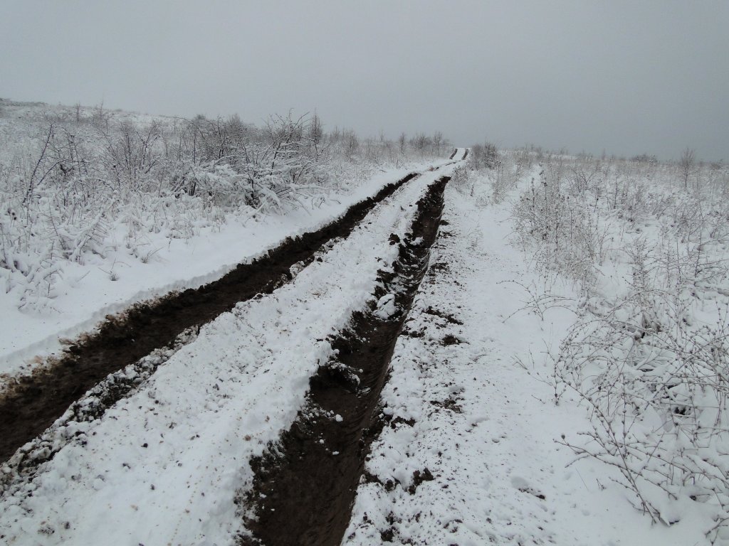 Натиснете снимката за да я уголемите

Име:DSC00047.jpg
Прегледи:1
Размер:166.2 КБ
ID:5448305