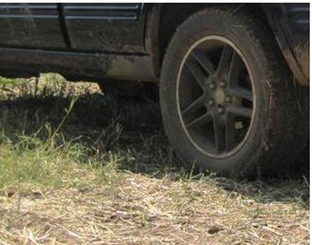 Натиснете снимката за да я уголемите

Име:Picture 003.jpg
Прегледи:1
Размер:49.3 КБ
ID:5449619