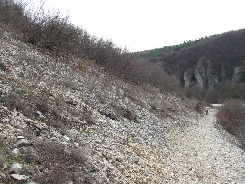 Натиснете снимката за да я уголемите

Име:DSCF4005.jpg
Прегледи:1
Размер:242.2 КБ
ID:5450042