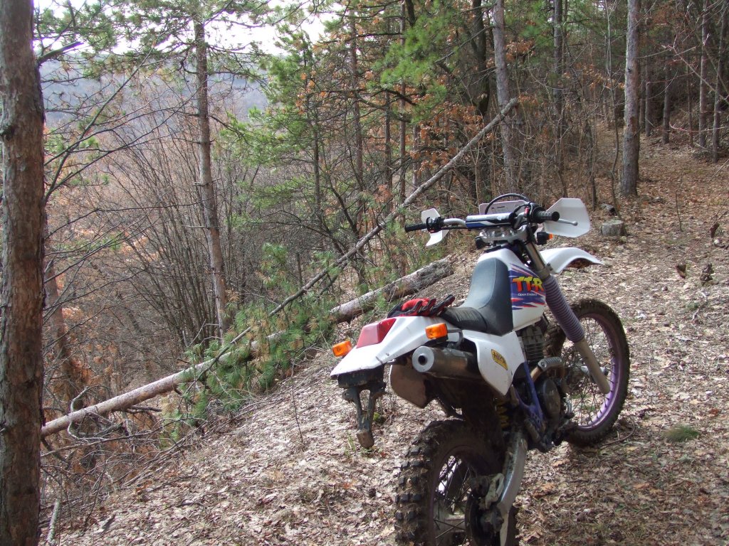 Натиснете снимката за да я уголемите

Име:DSCF3965.jpg
Прегледи:1
Размер:304.0 КБ
ID:5450043