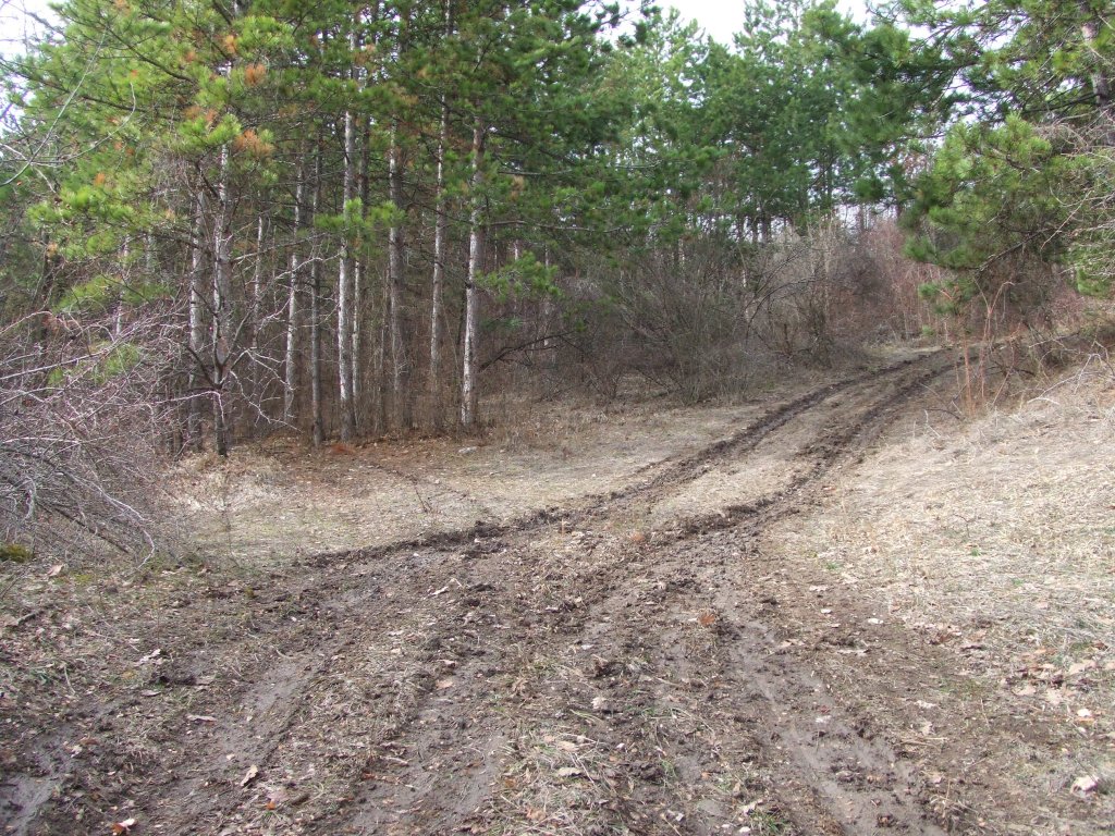 Натиснете снимката за да я уголемите

Име:DSCF3966.jpg
Прегледи:1
Размер:303.1 КБ
ID:5450044