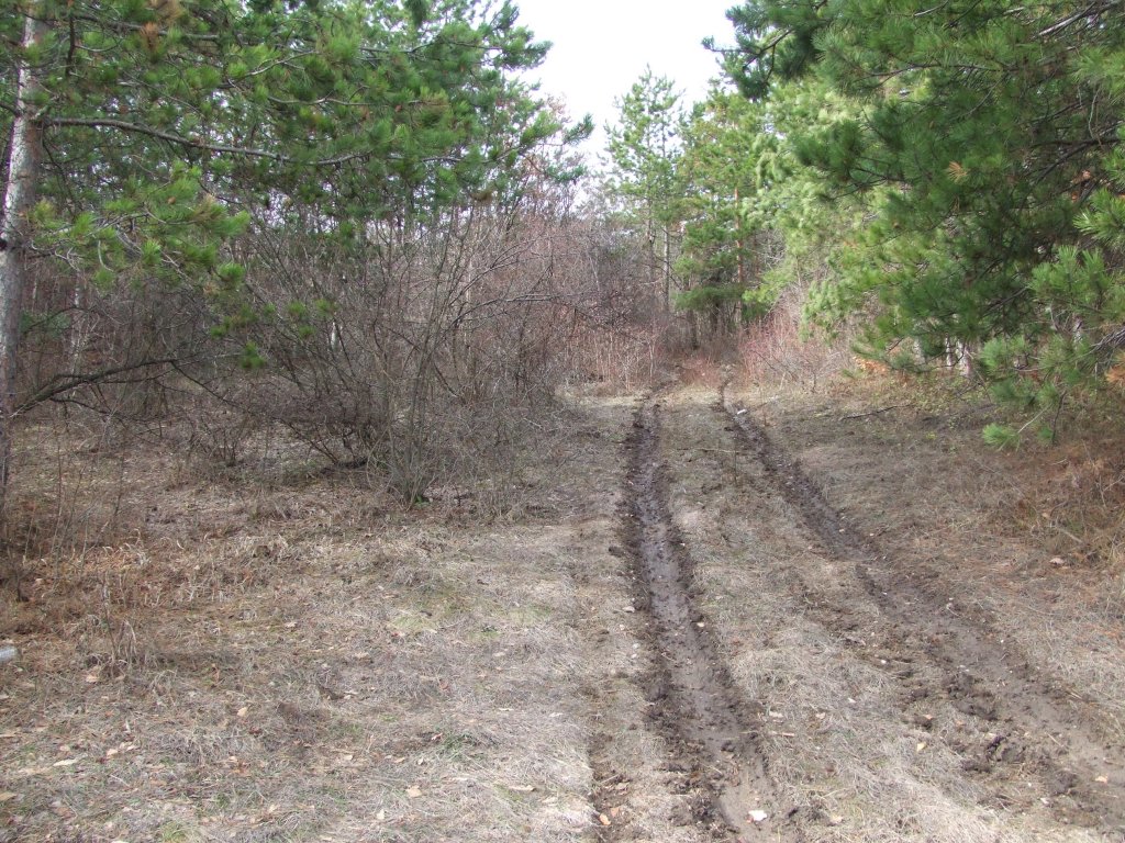 Натиснете снимката за да я уголемите

Име:DSCF3967.jpg
Прегледи:1
Размер:271.5 КБ
ID:5450045