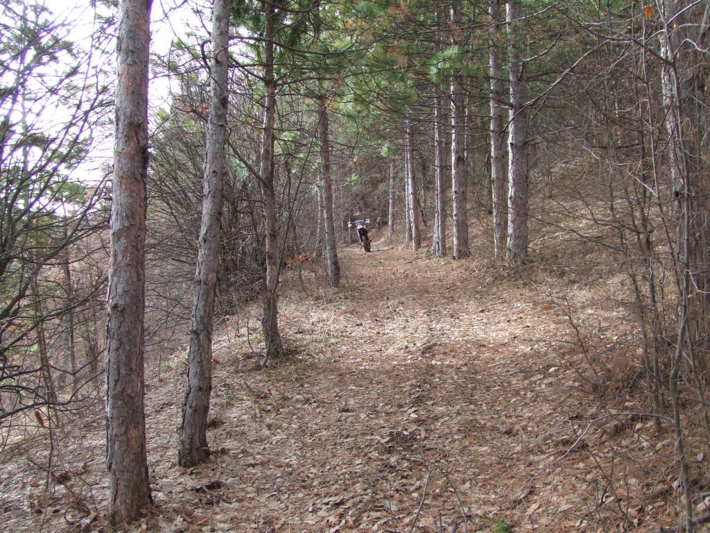Натиснете снимката за да я уголемите

Име:DSCF3968.jpg
Прегледи:1
Размер:313.2 КБ
ID:5450046