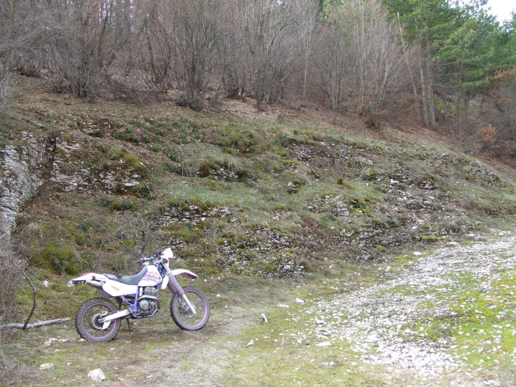 Натиснете снимката за да я уголемите

Име:DSCF3980.jpg
Прегледи:1
Размер:284.9 КБ
ID:5450059