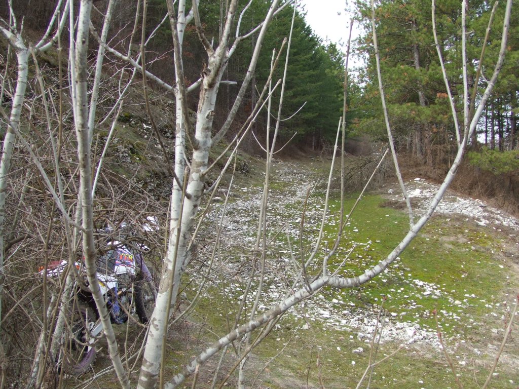 Натиснете снимката за да я уголемите

Име:DSCF3981.jpg
Прегледи:1
Размер:274.5 КБ
ID:5450060