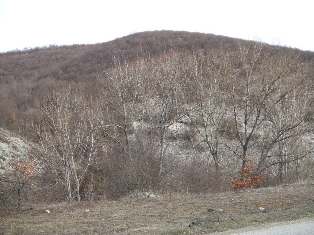 Натиснете снимката за да я уголемите

Име:DSCF3999.jpg
Прегледи:1
Размер:193.9 КБ
ID:5450075