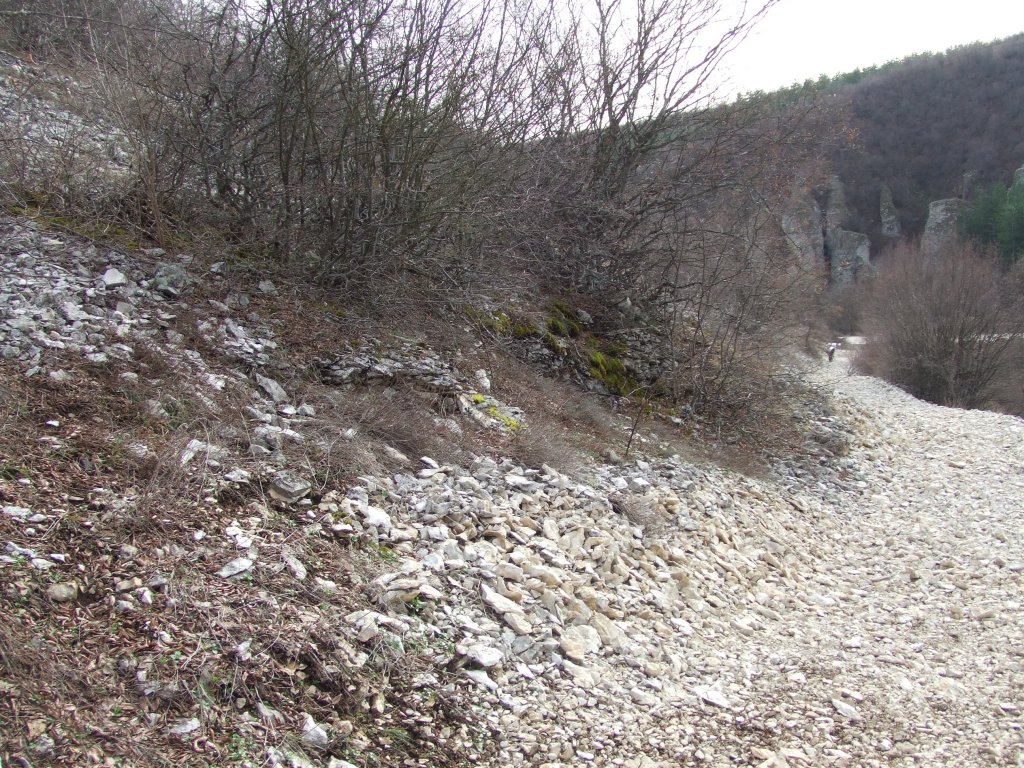 Натиснете снимката за да я уголемите

Име:DSCF4003.jpg
Прегледи:1
Размер:308.1 КБ
ID:5450079