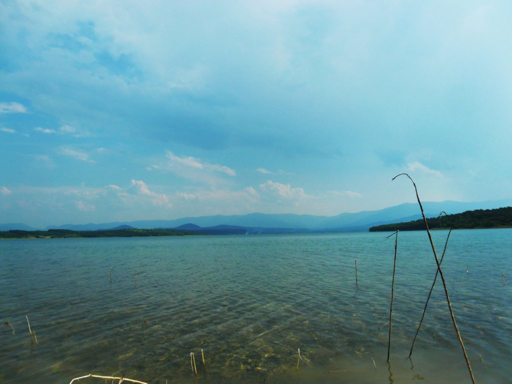 Натиснете снимката за да я уголемите

Име:SAM_2516.jpg
Прегледи:1
Размер:88.4 КБ
ID:5451514