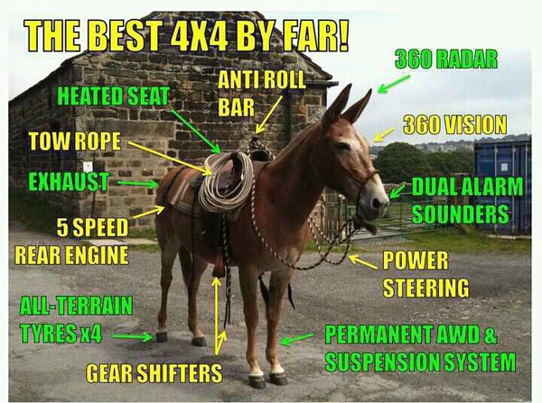 Натиснете снимката за да я уголемите

Име:the-best-4x4-by-far-pinterest.jpg
Прегледи:1
Размер:265.2 КБ
ID:5453041