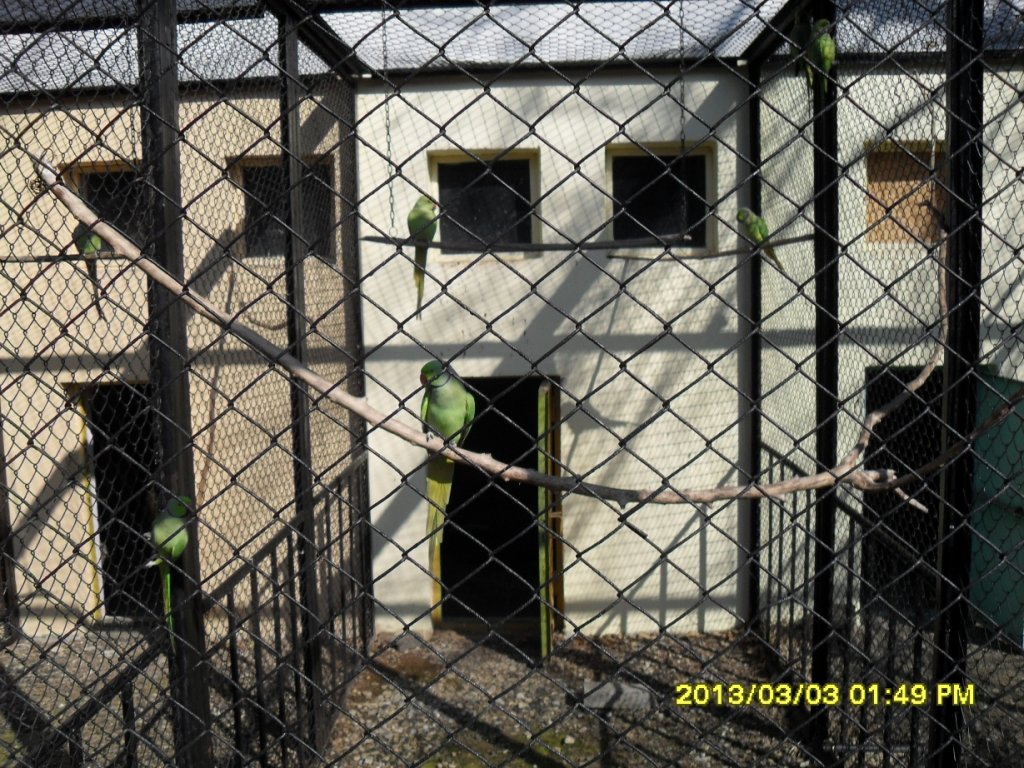 Натиснете снимката за да я уголемите

Име:SDC13886.jpg
Прегледи:1
Размер:240.7 КБ
ID:5458311