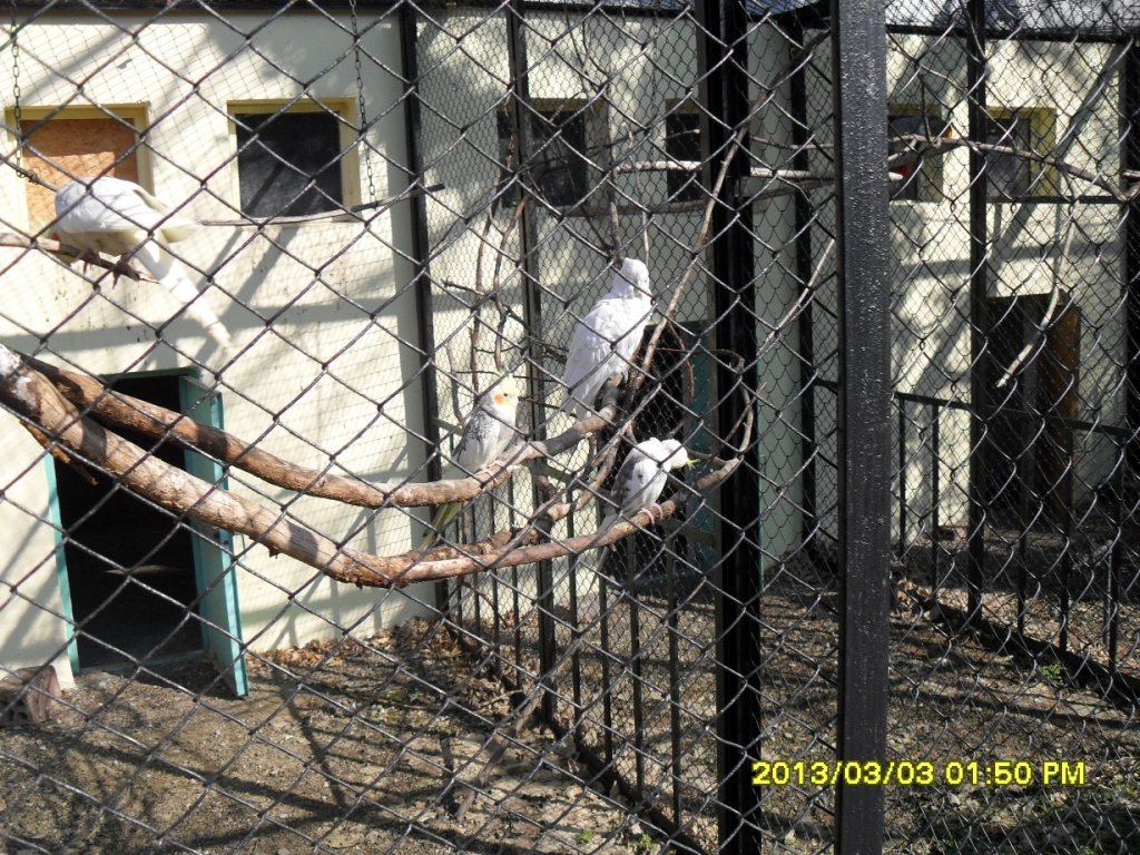 Натиснете снимката за да я уголемите

Име:SDC13887.jpg
Прегледи:1
Размер:264.2 КБ
ID:5458312