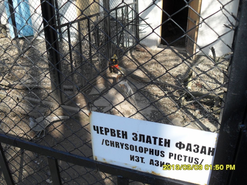Натиснете снимката за да я уголемите

Име:SDC13890.jpg
Прегледи:1
Размер:213.6 КБ
ID:5458315