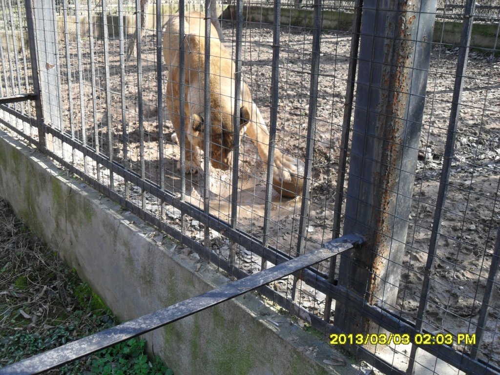 Натиснете снимката за да я уголемите

Име:SDC13892.jpg
Прегледи:1
Размер:250.1 КБ
ID:5458317
