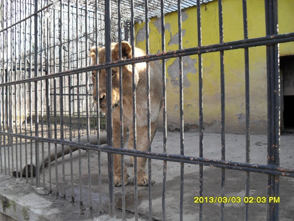 Натиснете снимката за да я уголемите

Име:SDC13894.jpg
Прегледи:1
Размер:197.9 КБ
ID:5458318