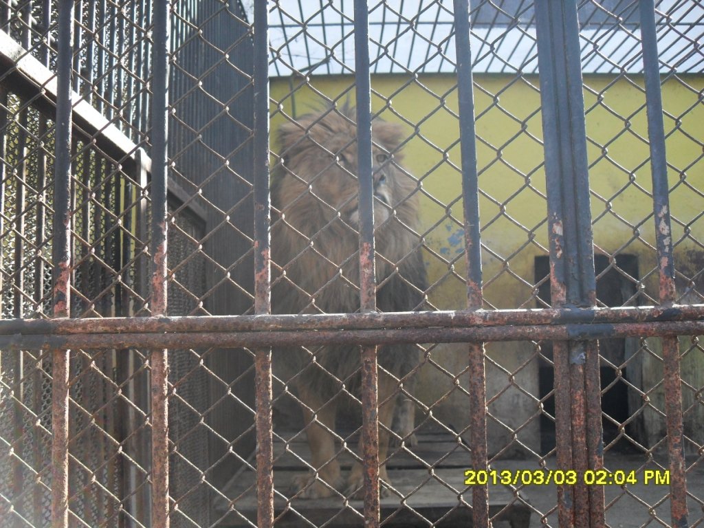 Натиснете снимката за да я уголемите

Име:SDC13895.jpg
Прегледи:1
Размер:199.8 КБ
ID:5458319