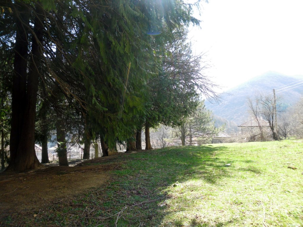 Натиснете снимката за да я уголемите

Име:SAM_3532.jpg
Прегледи:1
Размер:201.8 КБ
ID:5464091