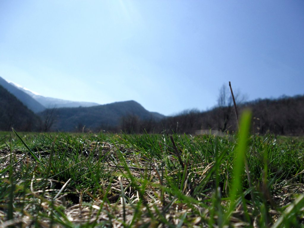 Натиснете снимката за да я уголемите

Име:SAM_3539.jpg
Прегледи:1
Размер:127.6 КБ
ID:5464093