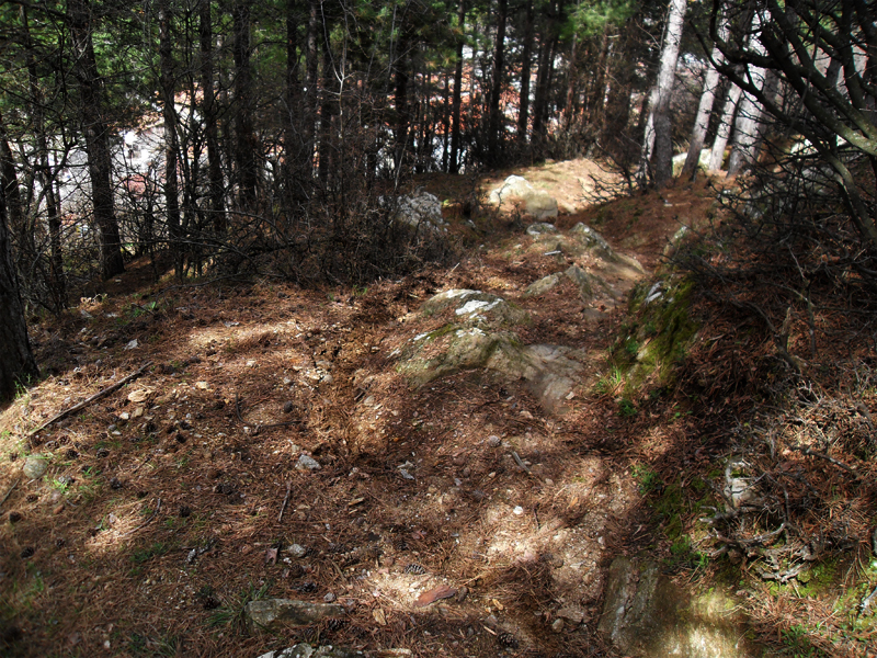 Натиснете снимката за да я уголемите

Име:SDC13045.JPG
Прегледи:1
Размер:690.3 КБ
ID:5464700