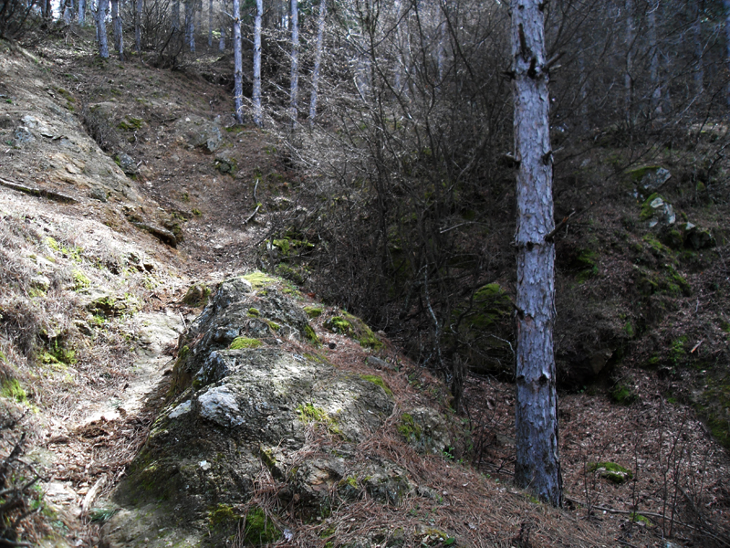 Натиснете снимката за да я уголемите

Име:SDC13046.JPG
Прегледи:1
Размер:605.1 КБ
ID:5464701