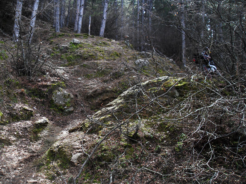 Натиснете снимката за да я уголемите

Име:SDC13047.JPG
Прегледи:1
Размер:679.6 КБ
ID:5464702