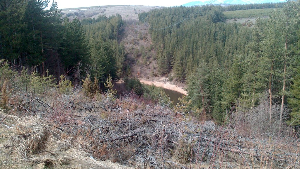 Натиснете снимката за да я уголемите

Име:DSC_0004.jpg
Прегледи:1
Размер:210.5 КБ
ID:5465167