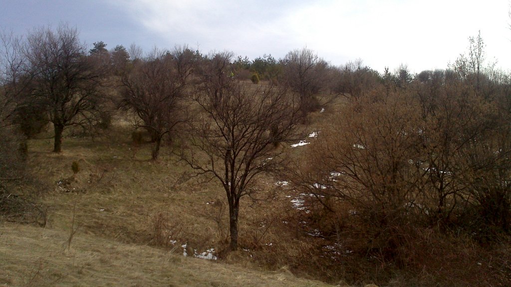 Натиснете снимката за да я уголемите

Име:DSC_0011.jpg
Прегледи:1
Размер:130.8 КБ
ID:5465173