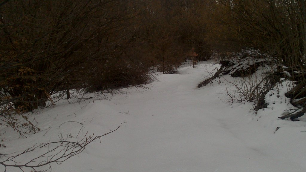 Натиснете снимката за да я уголемите

Име:DSC_0015.jpg
Прегледи:1
Размер:99.4 КБ
ID:5465175