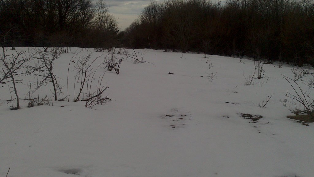 Натиснете снимката за да я уголемите

Име:DSC_0030.jpg
Прегледи:1
Размер:81.2 КБ
ID:5465181