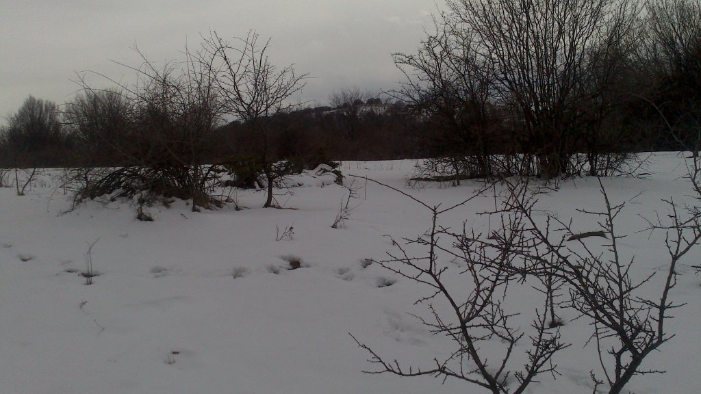 Натиснете снимката за да я уголемите

Име:DSC_0031.jpg
Прегледи:1
Размер:121.6 КБ
ID:5465182