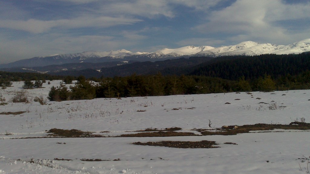 Натиснете снимката за да я уголемите

Име:DSC_0068.jpg
Прегледи:1
Размер:89.1 КБ
ID:5465207