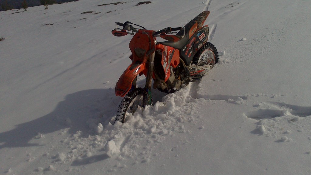 Натиснете снимката за да я уголемите

Име:DSC_0077.jpg
Прегледи:1
Размер:82.7 КБ
ID:5465216