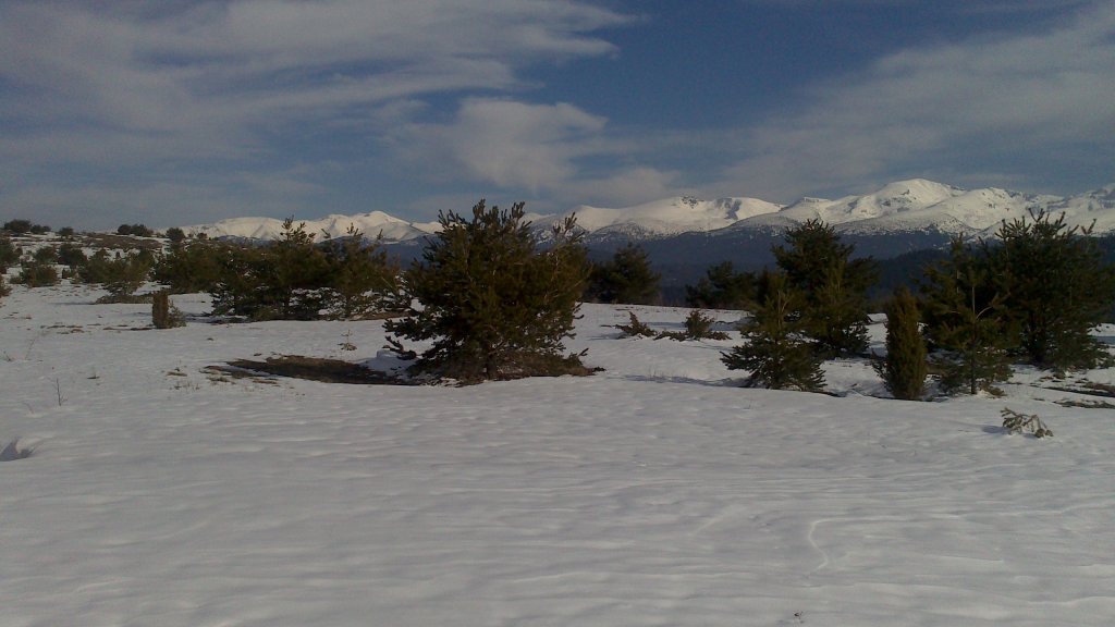 Натиснете снимката за да я уголемите

Име:DSC_0080.jpg
Прегледи:1
Размер:86.9 КБ
ID:5465219