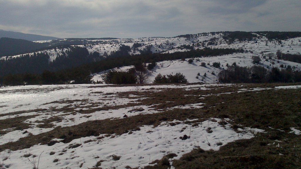 Натиснете снимката за да я уголемите

Име:DSC_0082.jpg
Прегледи:1
Размер:137.2 КБ
ID:5465221